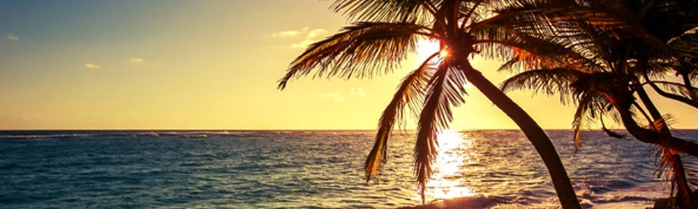 User banner image
